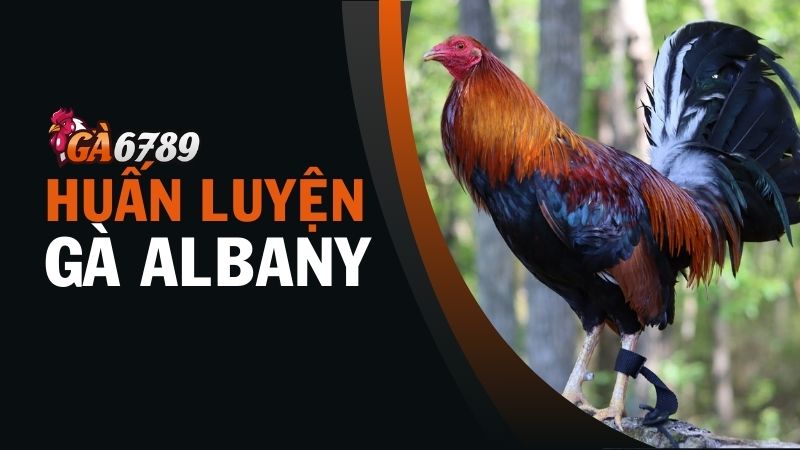 Thường xuyên rèn luyện kỹ năng chiến đấu