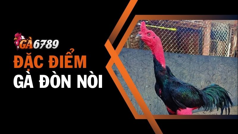 Giới thiệu về giống gà đòn nòi